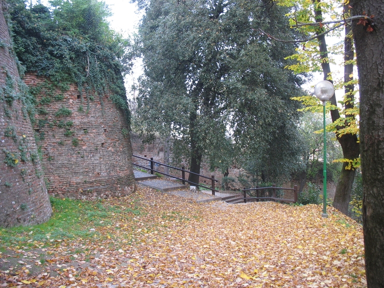 Rocca Malatestiana di Cesena, Archivio IBC